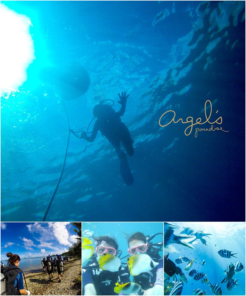 ▌關島 ▌JNS DIVERS GUAM♥原來海底這麼美～絕對不可錯過的JNS水肺潛水